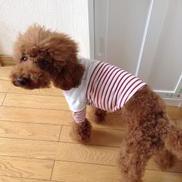 pricaさんの作品