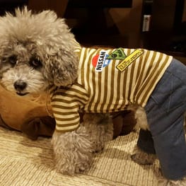 みちもこさんの作品