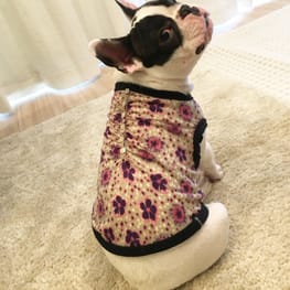 ふくさんの作品