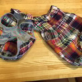 いーさんの作品