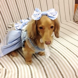 cocoa3さんの作品