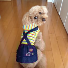 らくすさんの作品