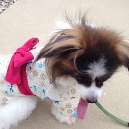 まるさんの作品