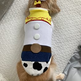 チーママさんの作品