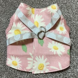 かふぇおれさんの作品