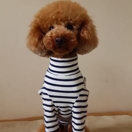 マーロンmamaさんの作品