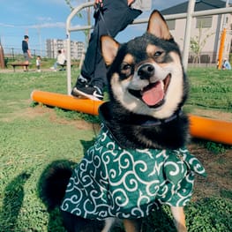 まさむねママさんの作品