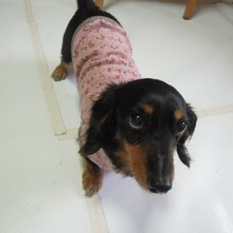 ライさんの作品