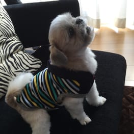 hananonnさんの作品