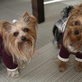 maririnhahaさんの作品