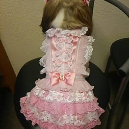 らくすさんの作品