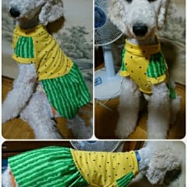 びすさんの作品