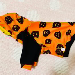 ノラあざらしさんの作品