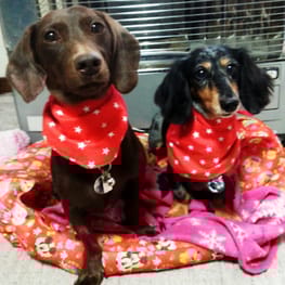 ☆瀬奈☆さんの作品