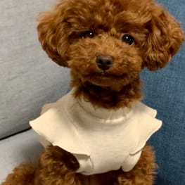 nuppy100さんの作品