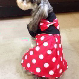 Dwarfさんの作品