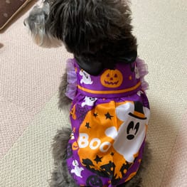 ここきなmomさんの作品