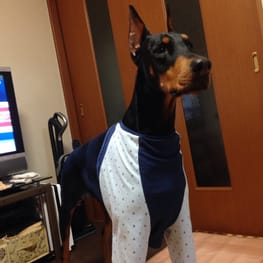 Aliceさんの作品