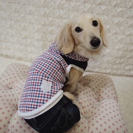 mamehanasoraさんの作品