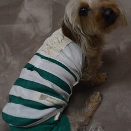 ひなはなさんの作品