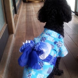 つばきさんの作品