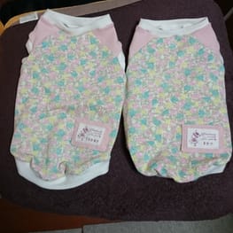 tsukuneneさんの作品