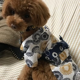 Dankeさんの作品