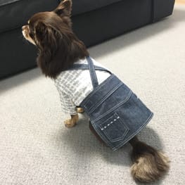 ゆずさんの作品