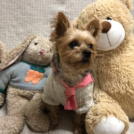 Keyakiさんの作品