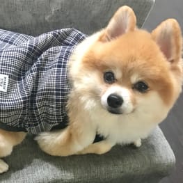 tamaharuさんの作品