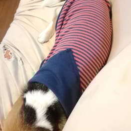 ウィンさんの作品