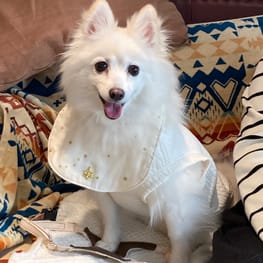 WKSchatzさんの作品