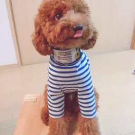 mamina8さんの作品