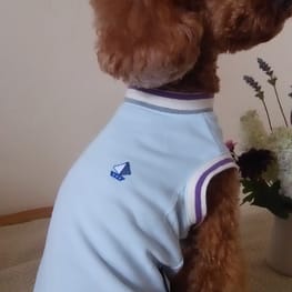 マーロンmamaさんの作品