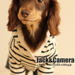 akizoo88さんの作品