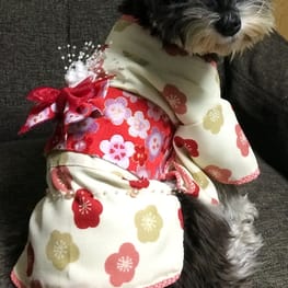 レンかのさんの作品