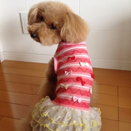 らくすさんの作品