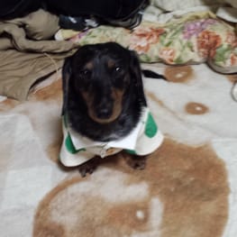 pobalさんの作品