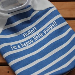 preciouskuuさんの作品