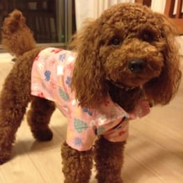 sunmomさんの作品