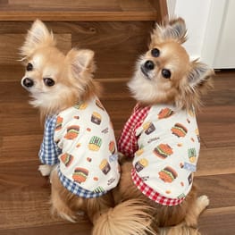 anirokitchenさんの作品