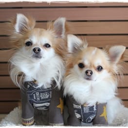 masakoさんの作品