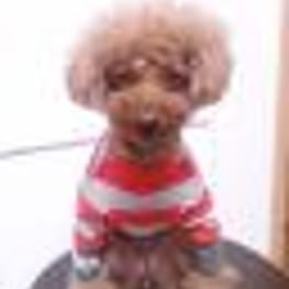 kaorunさんの作品