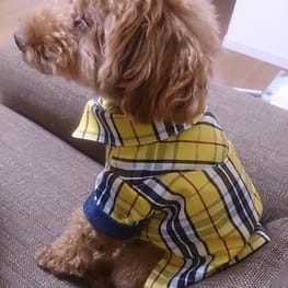 kaorunさんの作品