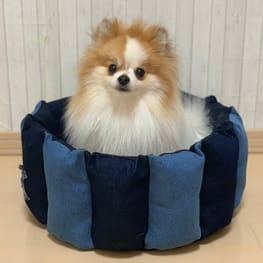 ラウンドベッド Millacra 愛犬のための犬服 ペット服の型紙通販 作り方 教室 Milla Milla