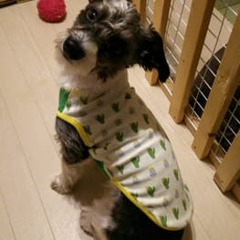 がっちゃんままさんの作品