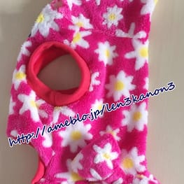 レンかのさんの作品