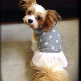 Dwarfさんの作品