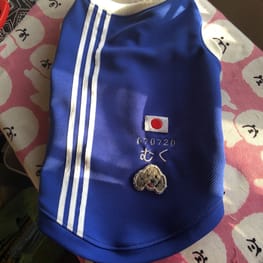 みちもこさんの作品