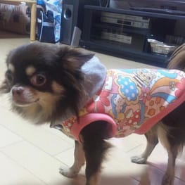 LEO之助さんの作品